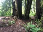 North Bend, King County, WA Recreational Property, Undeveloped Land