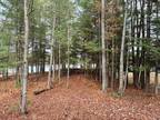 10048 LAKEVIEW LN, Minocqua, WI 54548 Single Family Residence For Sale MLS#