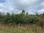 Muskegon, Muskegon County, MI Undeveloped Land for sale Property ID: 417836868
