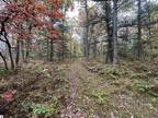 Wellston, Wexford County, MI Undeveloped Land for sale Property ID: 418158339