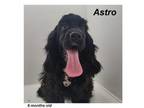 Astro