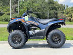 2024 Kawasaki Brute Force 300