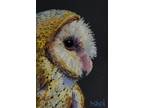 Barn Owl, Original Pastel Bird Painting, 4x6 Inch, framed