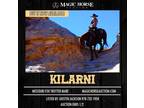 Kilarni~Super Fun and Safe for Anyone! Family/Trail Mft Mare~