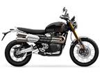 2024 Triumph Scrambler 1200 XE