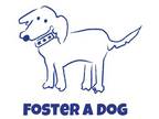 Adopt Foster A Dog a Black Mixed Breed (Medium) / Mixed dog in Harrison