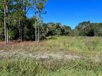 Lehigh Acres, Lee County, FL Undeveloped Land, Homesites for sale Property ID: