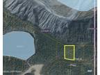 Chickaloon, Matanuska-Susitna Borough, AK Undeveloped Land, Lakefront Property