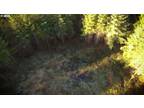 Kelso, Cowlitz County, WA Undeveloped Land for sale Property ID: 416151999