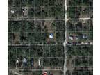 Williston, Levy County, FL Undeveloped Land, Homesites for rent Property ID: