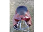 Saddle, Western, Gaited