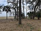 Townsend, Mc Intosh County, GA Undeveloped Land, Lakefront Property