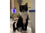 Adopt Truman Courtesy Listing a Tuxedo