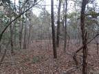 Sumter, Sumter County, SC Undeveloped Land for sale Property ID: 418437679