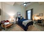 Aspire College Station 1 bd/1bath (In 5 bd/5bath) Male Only