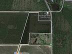 Alma, Bacon County, GA Undeveloped Land for sale Property ID: 418072342