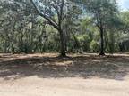 Melrose, Clay County, FL Undeveloped Land, Homesites for sale Property ID:
