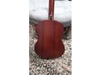 Cordoba C3 Classical Guitar But With Torrefied Bearclaw Engelmann Spruce Top