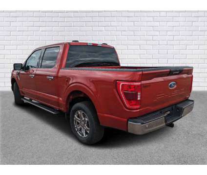 2023 Ford F-150 XLT is a Red 2023 Ford F-150 XLT Car for Sale in Collins MS