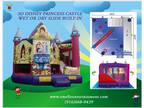 Princess Castle Bounce House, Combos, Water Slide, Mickey Mouse Combos