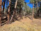 TBD SPRUCE LANE, Chama, NM 87520 Single Family Residence For Sale MLS# 202341761