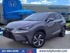 2021 Lexus NX 300h