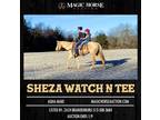 Sheza Watch N Tee~Extremely Safe & Broke*Ranch/Family/Trail AQHA Mare~
