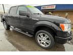 Used 2014 FORD F150 For Sale