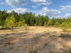 926 VIRGIN MARY RD, Camden, MS 39045 Land For Sale MLS# 4060228