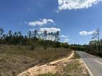 Caryville, Washington County, FL Undeveloped Land for sale Property ID: