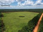 Walnut Hill, Escambia County, FL Recreational Property, Hunting Property for