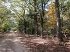 Sumner, Lamar County, TX Undeveloped Land for sale Property ID: 417499250