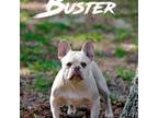 Buster