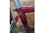 Conti Italian Road Campagnolo Cinelli 3ttt 53cm Cromovelato frame Pantographed