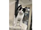 Adopt Ribbon a Tuxedo