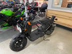 2024 Honda Ruckus