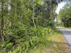 Homosassa, Citrus County, FL Undeveloped Land for sale Property ID: 413356917