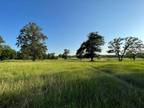 Bedias, Grimes County, TX Farms and Ranches, Recreational Property