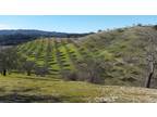 6255 Peachy Canyon Paso Robles, CA -