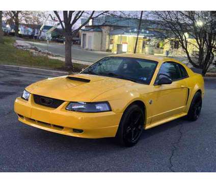 2004 Ford Mustang for sale is a Yellow 2004 Ford Mustang Car for Sale in Frederick MD