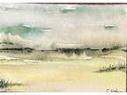 Original watercolor painting. Signed. Coast. Woods. ACEO Landscape. Marsh.