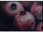 ACEO Print Of An Original Oil Painting Pomegranates 2.5”x3.5” By Chris