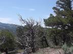 Fort Garland, Costilla County, CO Recreational Property, Undeveloped Land for