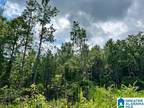 00 SAINT MARY ROAD # 0, COUNTY, AL 35096 Land For Sale MLS# 21364169