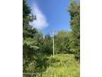 L20 BARTMAN ROAD, Bakers Mills, NY 12843 Land For Sale MLS# 202312336