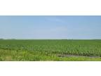 Mayville, Traill County, ND Farms and Ranches for sale Property ID: 417019710