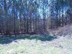 Palmetto, Fulton County, GA Undeveloped Land for sale Property ID: 416511406