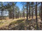 12196 GOODSON RD, Colorado Springs, CO 80908 Land For Sale MLS# 3345881