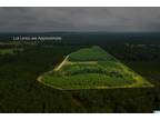 Columbiana, Shelby County, AL Undeveloped Land for sale Property ID: 417538403