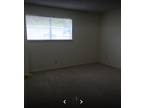 $945 - 1 Bedroom 1 Bathroom Apartment In Arlington With Great Amenities 2204